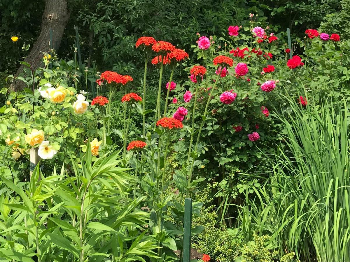Gartenhaus Frieda Galmsbull Zewnętrze zdjęcie