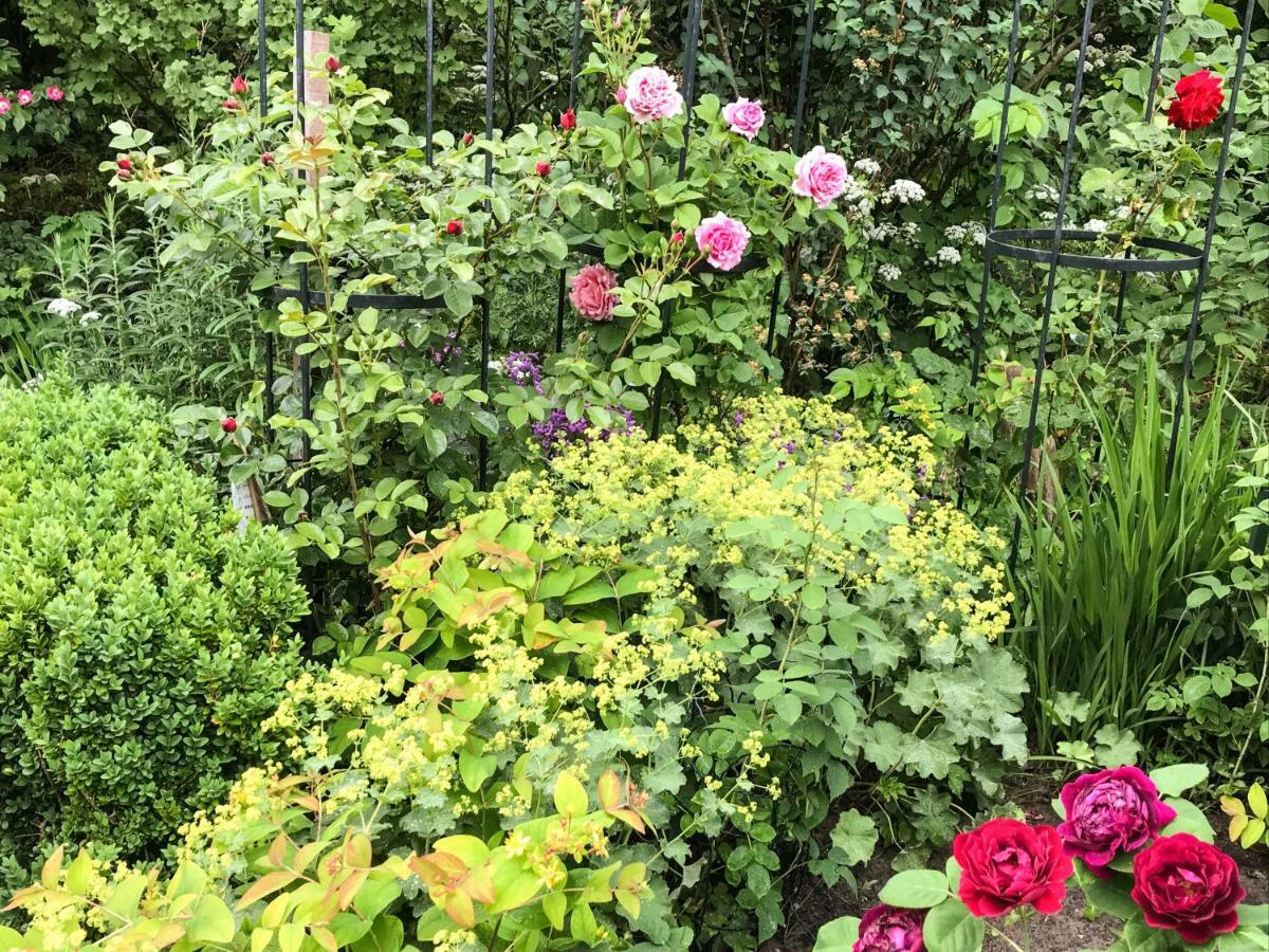 Gartenhaus Frieda Galmsbull Zewnętrze zdjęcie